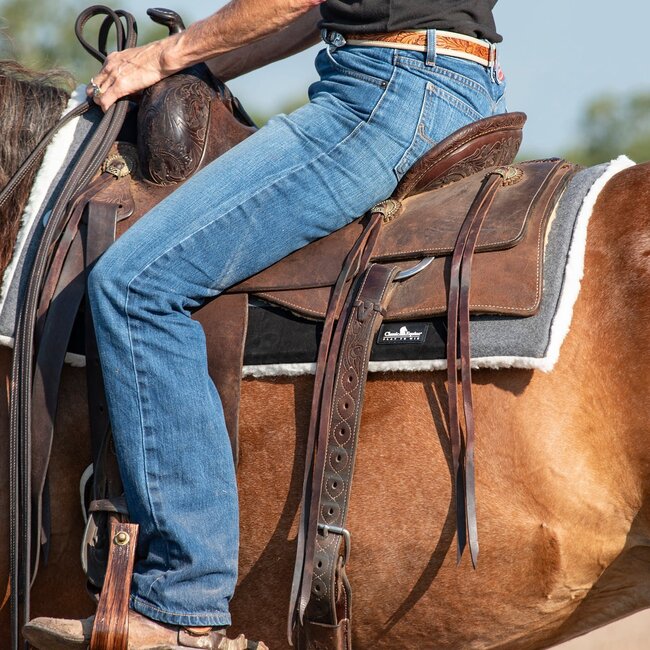 Classic Equine Performance trainer felt top