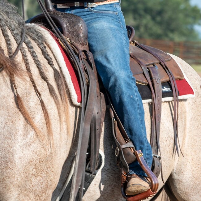 Classic Equine Performance trainer felt top