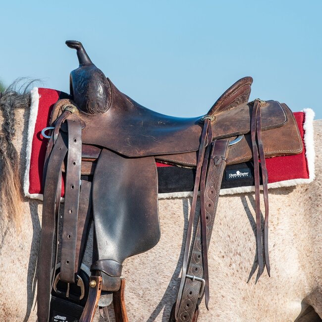 Classic Equine Performance trainer felt top