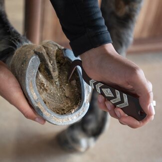 Cashel Hoof Pick