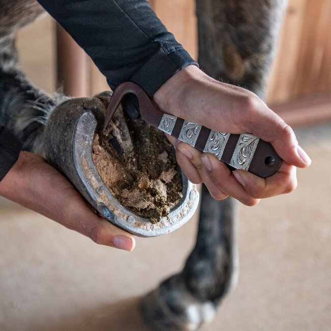 Cashel Hoof Pick
