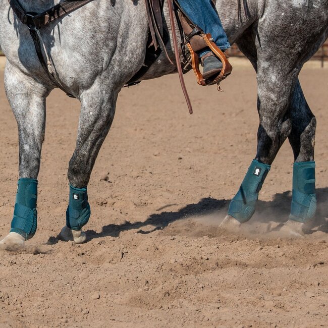 Classic Equine Flexion Hind