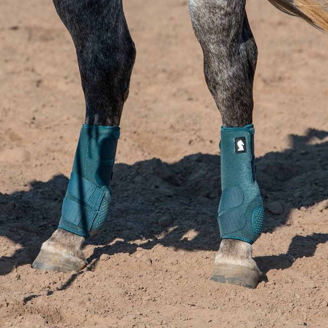 Classic Equine Flexion Hind