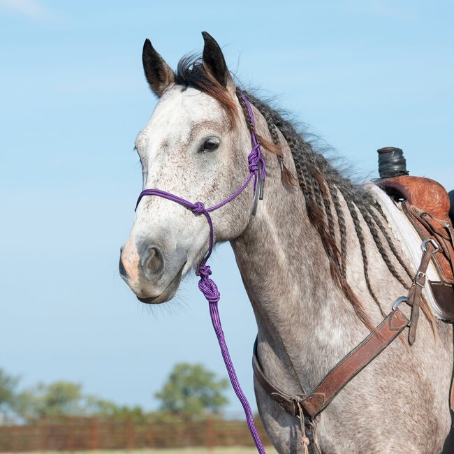 Classic Equine Rope Halter With Lead