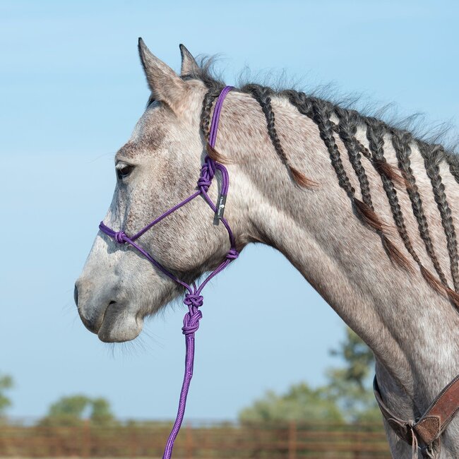 Classic Equine Rope Halter With Lead