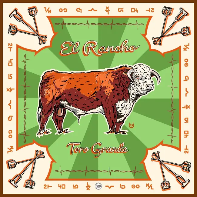 Fringe Scarves Wild Rag Toro Grande