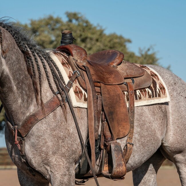 Classic Equine Show Blanket Cream/Latte