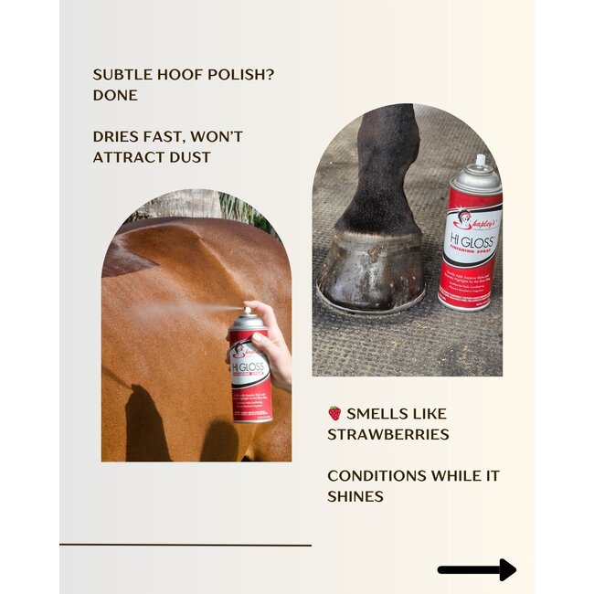 Hi Gloss Finishing Spray