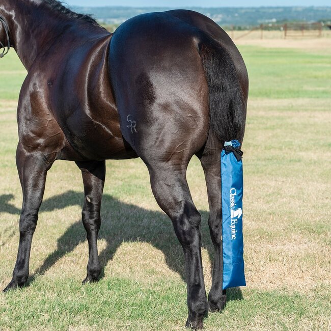 Classic Equine Slick Tail Bag