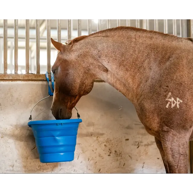 Boss Equine Products BOSS™ Bucket Strap