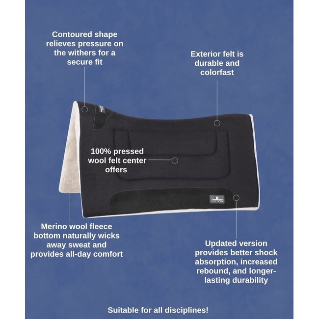 Classic Equine Performance trainer felt top