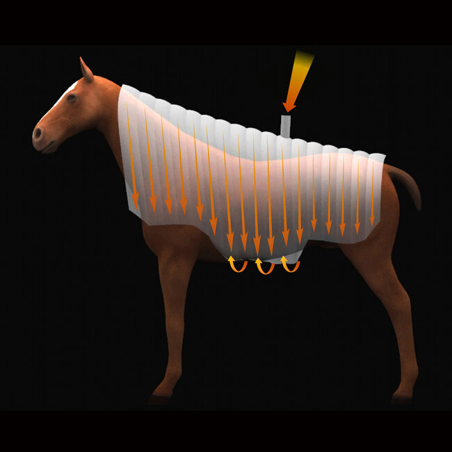 Wiper Z3c  horse dryer complete set