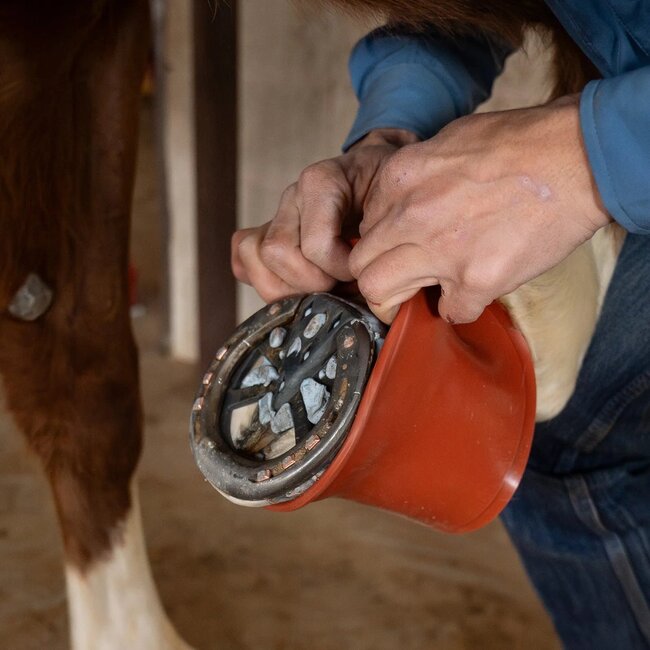 Classic Equine Shoeguard 360 Bell Boot
