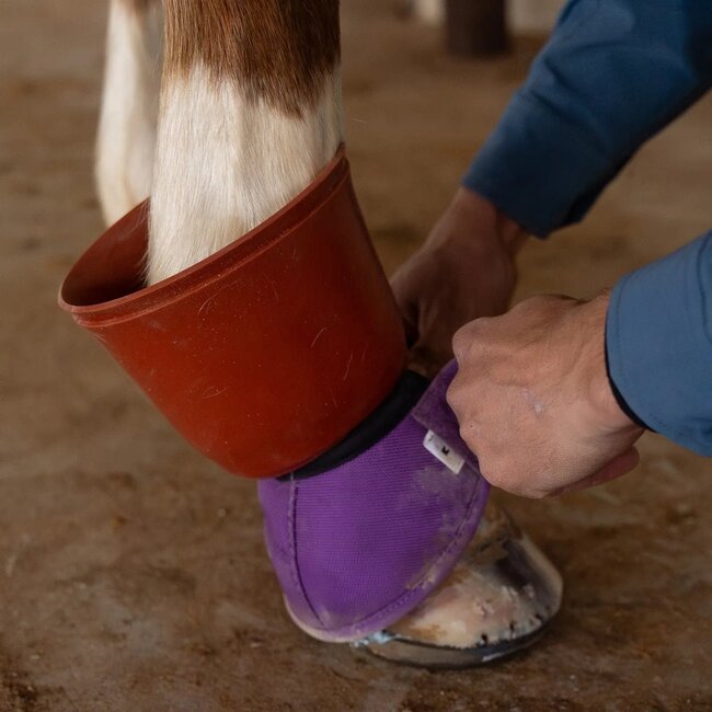 Classic Equine Shoeguard 360 Bell Boot