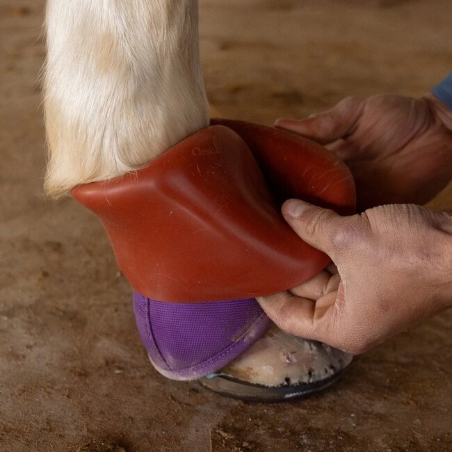 Classic Equine Shoeguard 360 Bell Boot