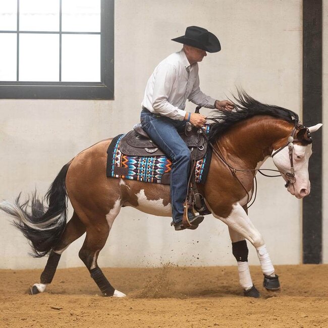 Cowboy Tack Training fork