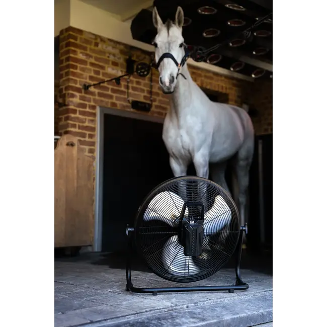 Equi Alert Equi Alert Air Pro