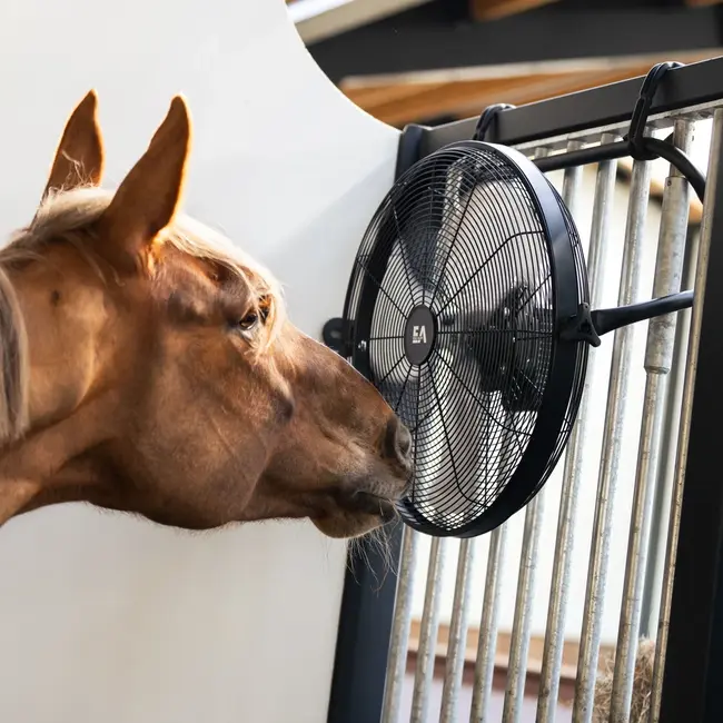 Equi Alert Equi Alert Air Pro
