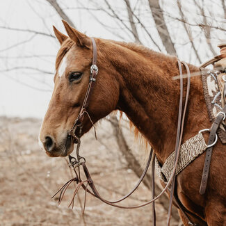 STS Ranch STS Ranch Sliding Ear Headstall Rifleman, 3/4"