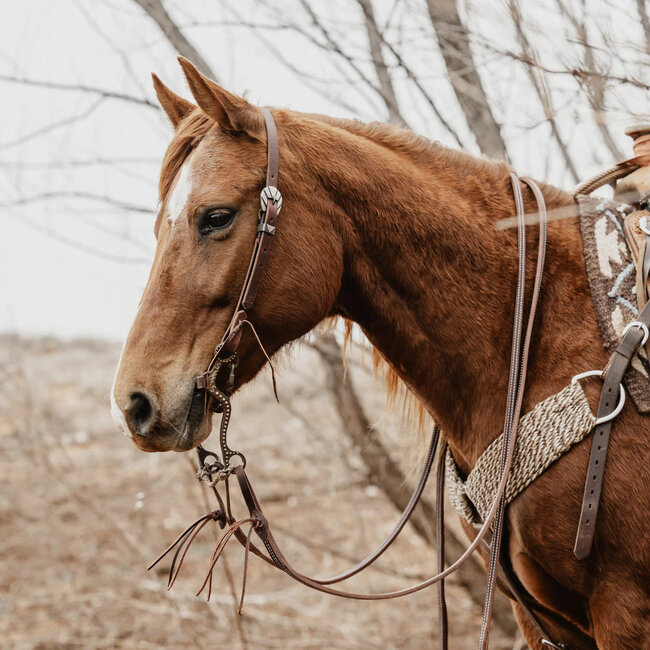 STS Ranch STS Ranch Sliding Ear Headstall Rifleman, 3/4"