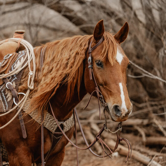STS Ranch STS Ranch Sliding Ear Headstall Rifleman, 3/4"