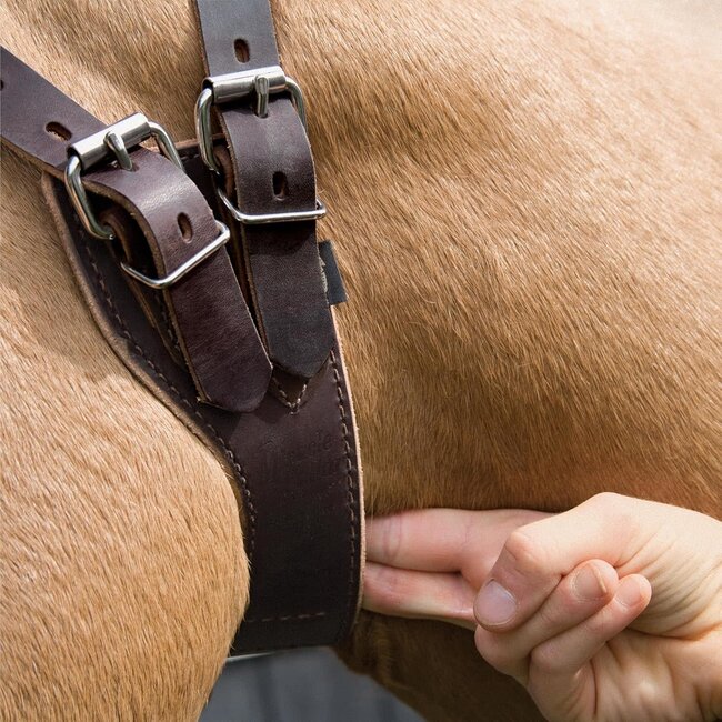 Weaver Leather The Miracle Collar Luchtzuigband