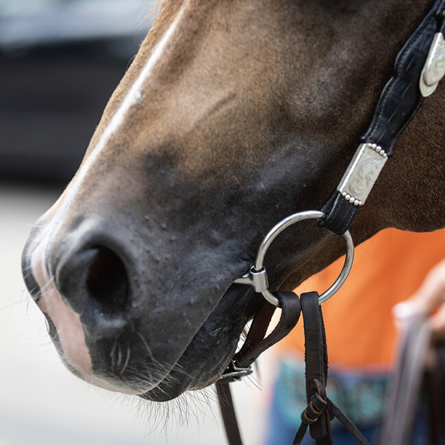 Bernard Fonck Collection BF O-Snaffle 12mm