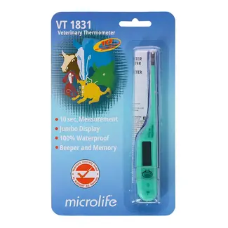 Fever thermometer digital