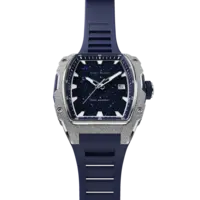 Paul Rich Paul Rich Astro Lunar Silver FAS01 horloge 42.5 mm