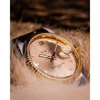 VNDX Amsterdam VNDX Dare Devil M Silver Gold Beige MT43006-04 dameshorloge