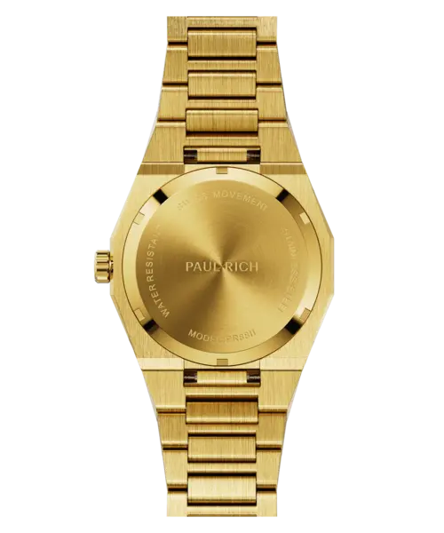 Paul Rich Paul Rich Frosted Star Dust II Obsidian Desert FARAB210 horloge