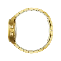 Paul Rich Paul Rich Mercer Goldline MER07 horloge