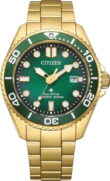 Citizen Citizen BN0262-59W Promaster Marine horloge