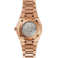 Paul Rich Paul Rich Frosted Star Dust II Rose Gold FSDA04 Automatic horloge