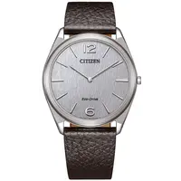 Citizen Citizen AR3120-16A Eco-Drive Suratto horloge