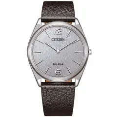 Citizen AR3120-16A Eco-Drive Suratto horloge