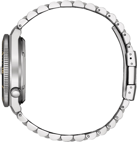 Citizen Citizen NJ0238-57E Tsuyosa Shore Timeslip Limited Edition horloge