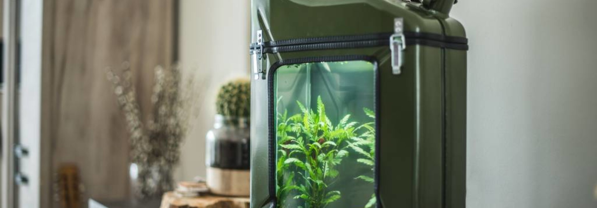 AquaCan - jerrycan aquarium 20L