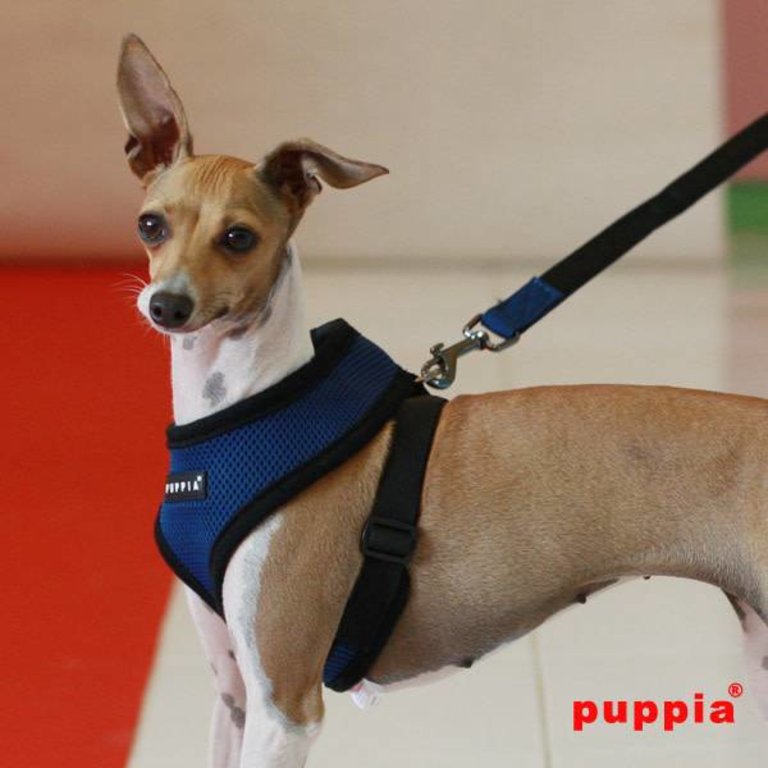 Puppia Harnais Puppia Soft Harness A Bleu Foncé