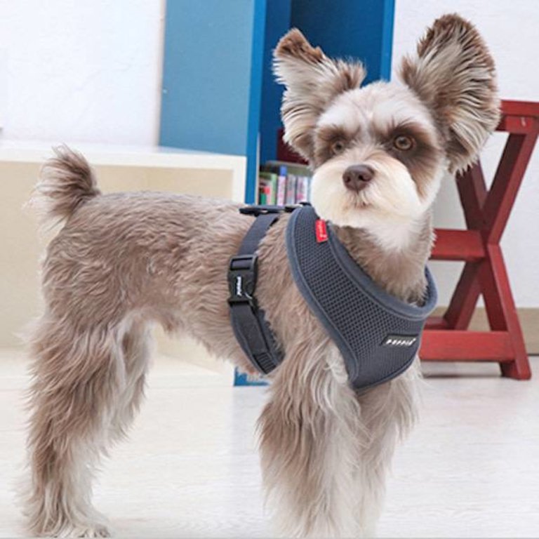 Puppia Harnais Puppia Soft Harness A Gris