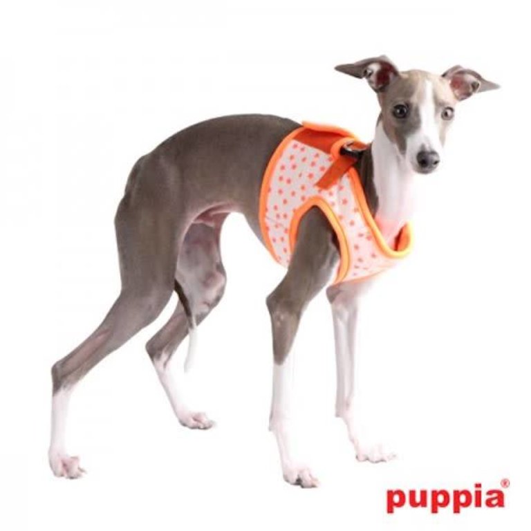 Puppia Harnais Puppia Summer B Cosmic Orange