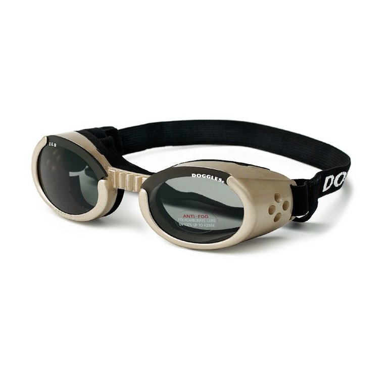 Lunettes Doggles ILS Chrome Frame