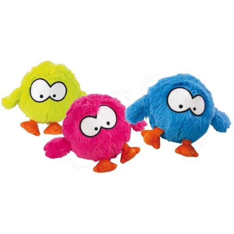 coockoo bouncy