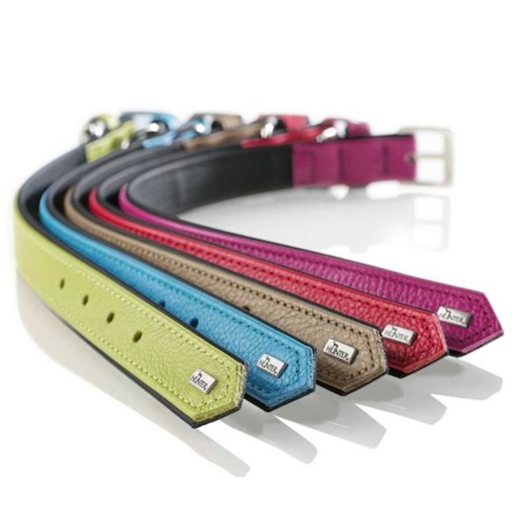 Hunter Collier Hunter Capri Classic Jaune & Noir