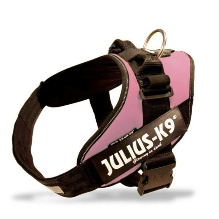 Julius K9 Harnais Julius K9 IDC-Powerharness Rose