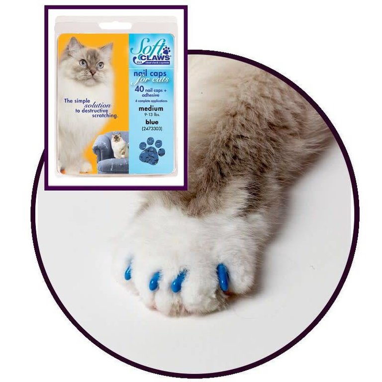 Protège Griffe SoftClaws® Bleu