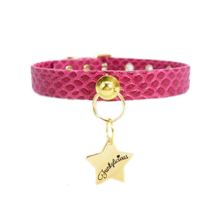 Funkylicious Collier Funkylicious Snake Fuschia