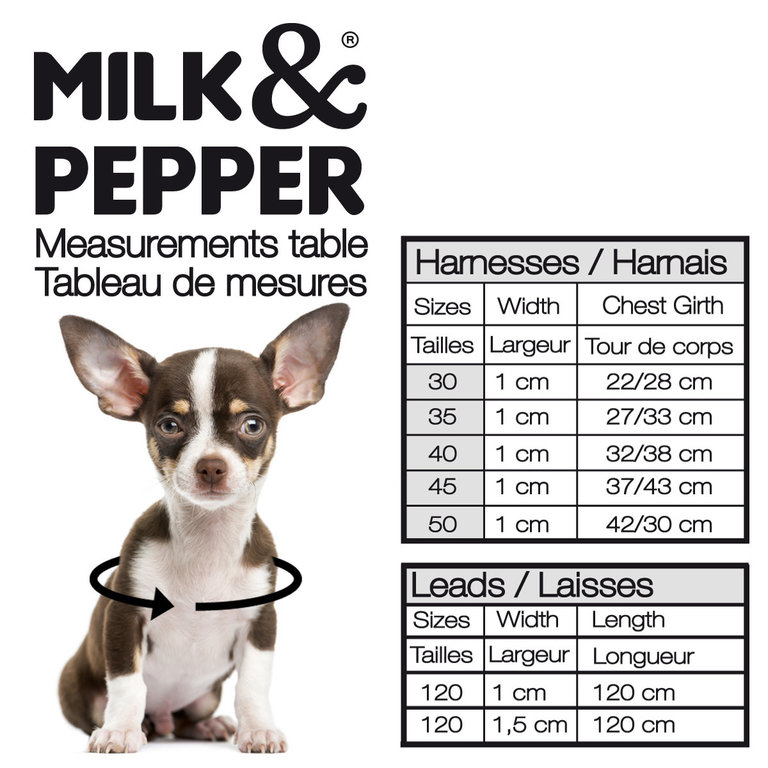 Milk & Pepper Harnais Milk&Pepper Stardust Noir