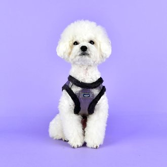 Puppia Harnais Puppia Winter B Evon Argenté