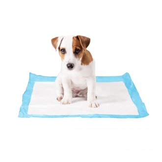 Tapis Educatif P-Pad Recharge 30 pcs Tapis Educatif P-Pad Recharge 30 pcs